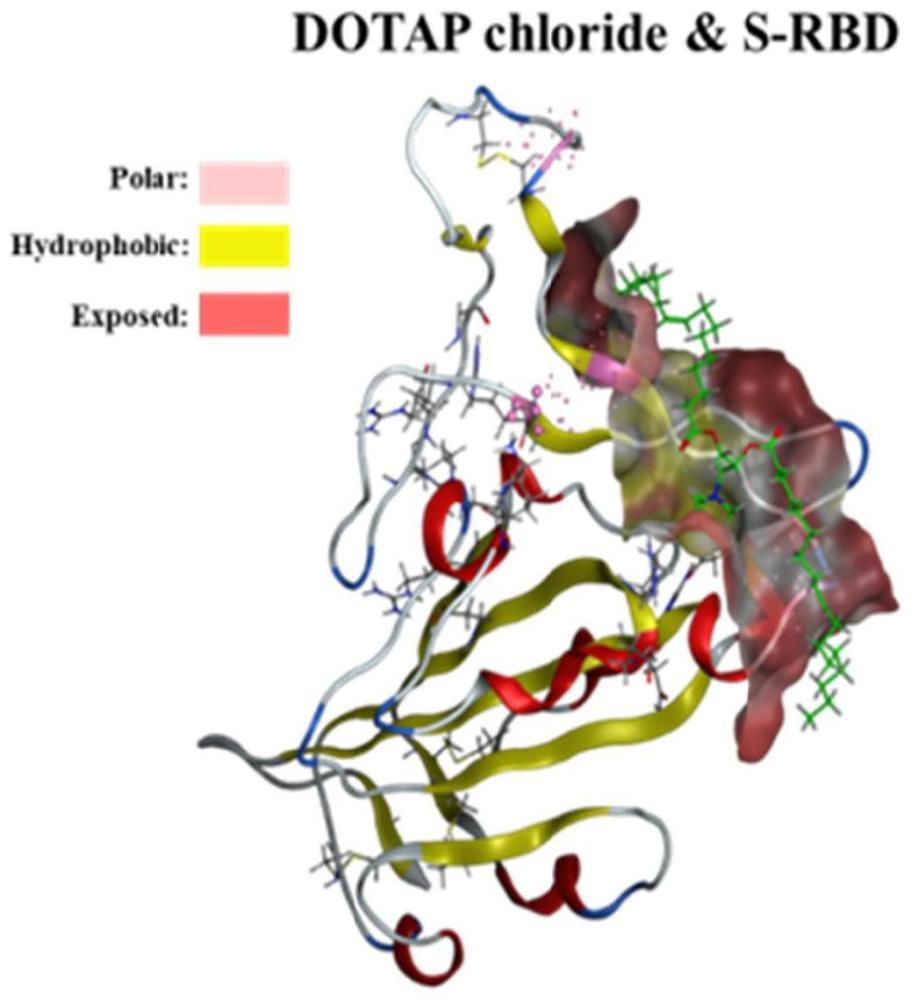 三甲基氯化铵在制备冠状病毒刺突蛋白受体结合结构域的特异性结合剂中的应用