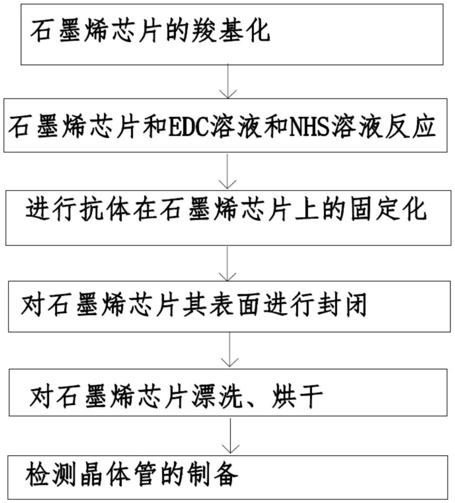 一种基于石墨烯芯片的结核病检测器及其制备方法与流程