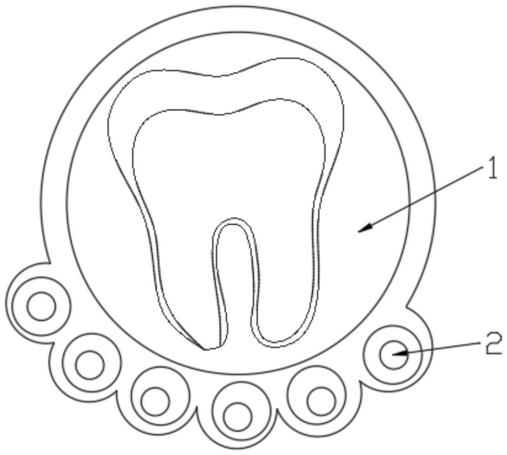 一种通过发光按钮控制对应牙齿结构解说内容的设备的制作方法