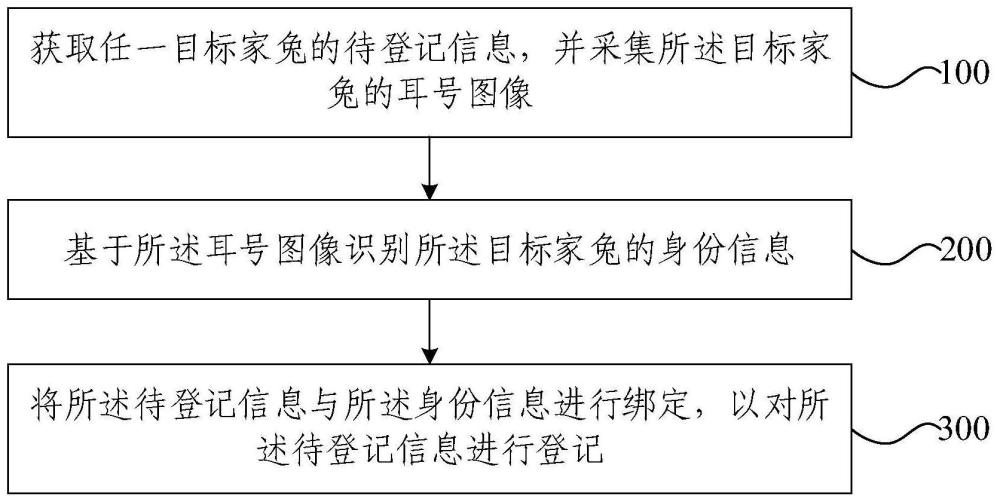 家兔信息登记方法、装置、设备及存储介质