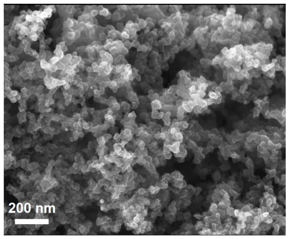 一种碳负载铂基纳米颗粒催化剂的制备方法和应用与流程