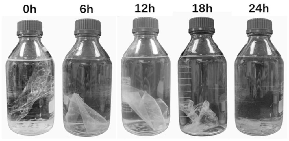 一种重组酵母工程菌株及其制备和在降解PET塑料中的应用