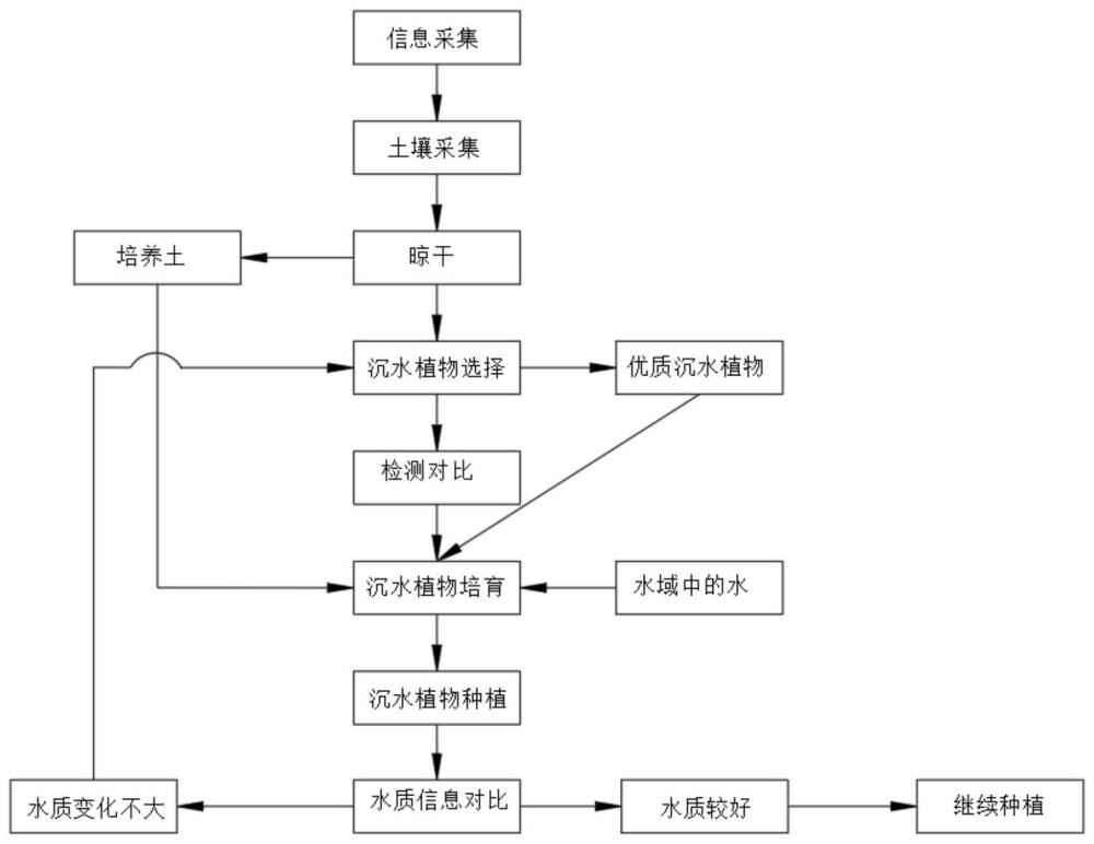 一种沉水植物水生态修复方法与流程