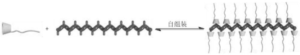 一种含金刚烷侧基的光学活性螺旋聚卡宾的可控合成及应用在构建超分子聚合物刷
