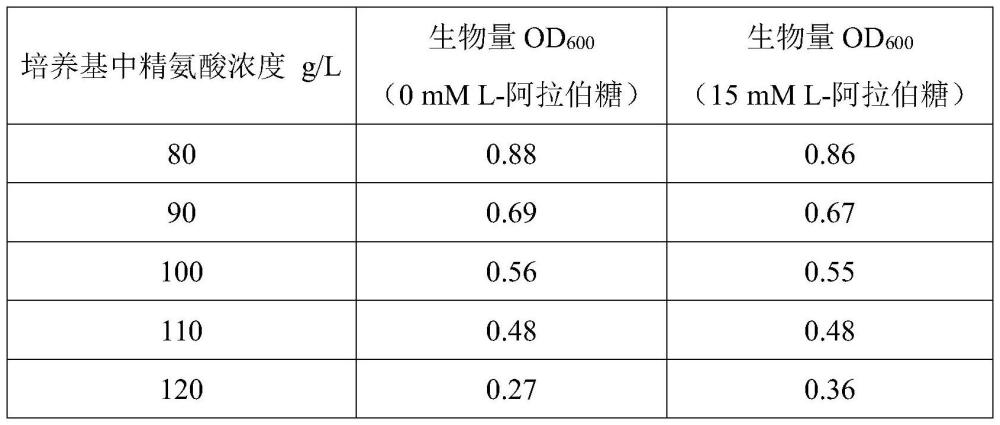 一种提高精氨酸产量的工程菌、生物材料及其应用的制作方法