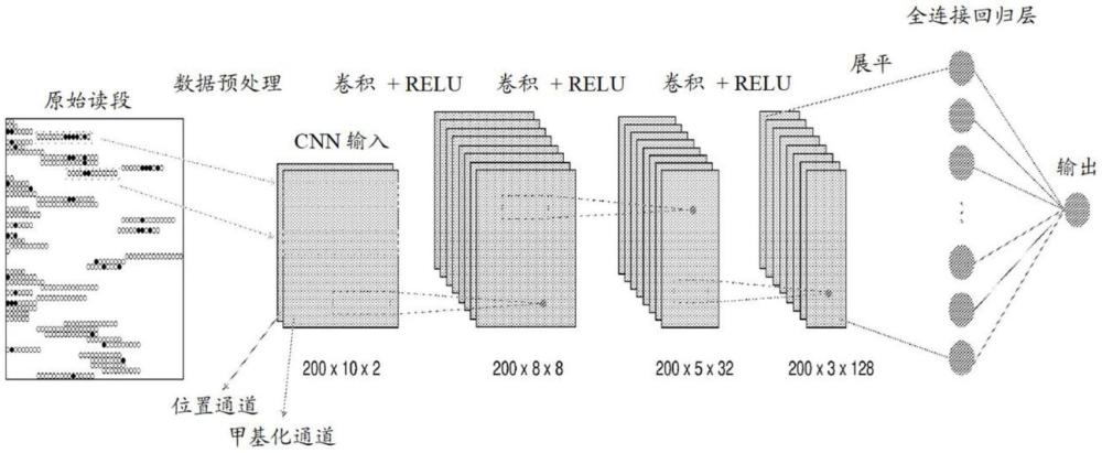 细胞异质性调整的克隆甲基化(CHALM)：甲基化定量方法与流程