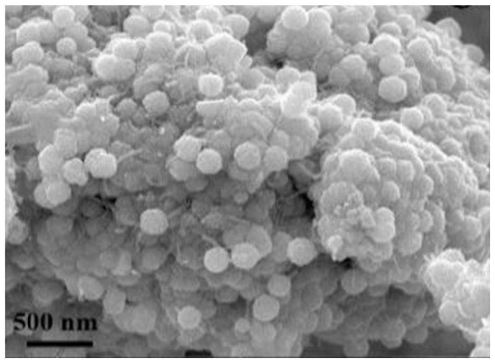 一种高析氢催化活性的镍/碳纳米管-二氧化锡复合镀层的制备方法