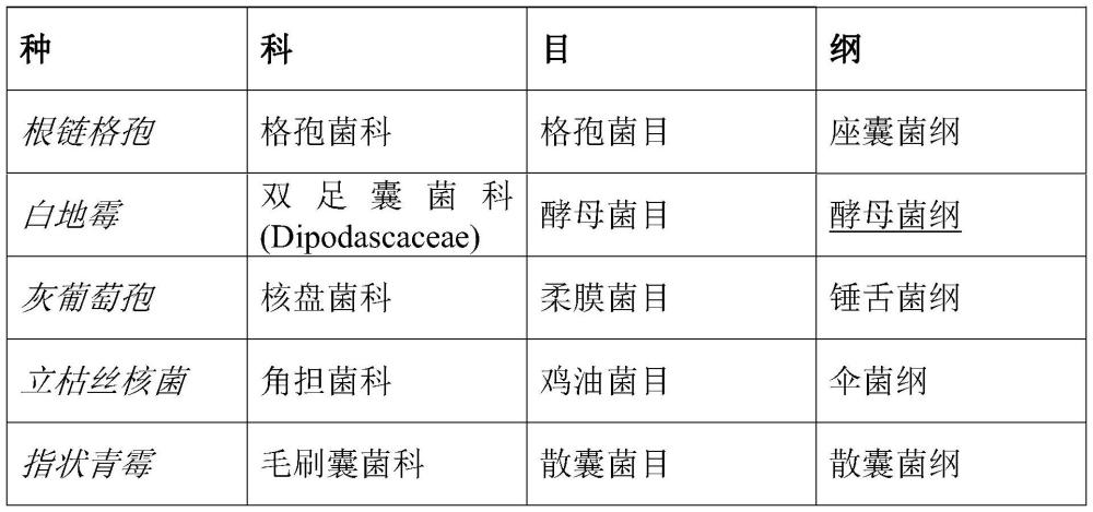 异硫氰酸酯和商业杀真菌剂的混合物之间的协同作用的制作方法