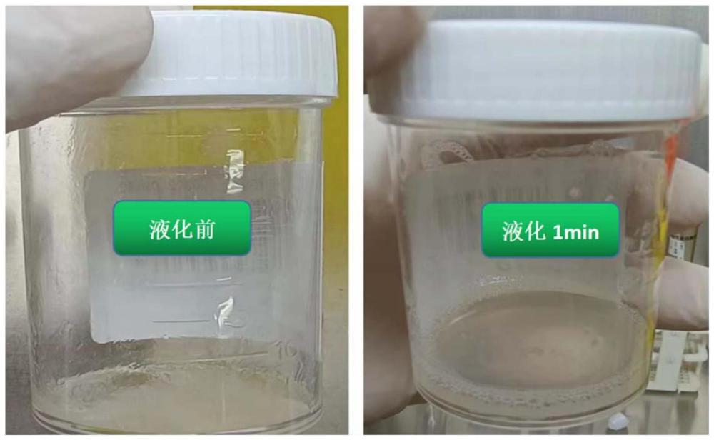 一种用于粘性生物样品的液化剂以及液化方法与流程