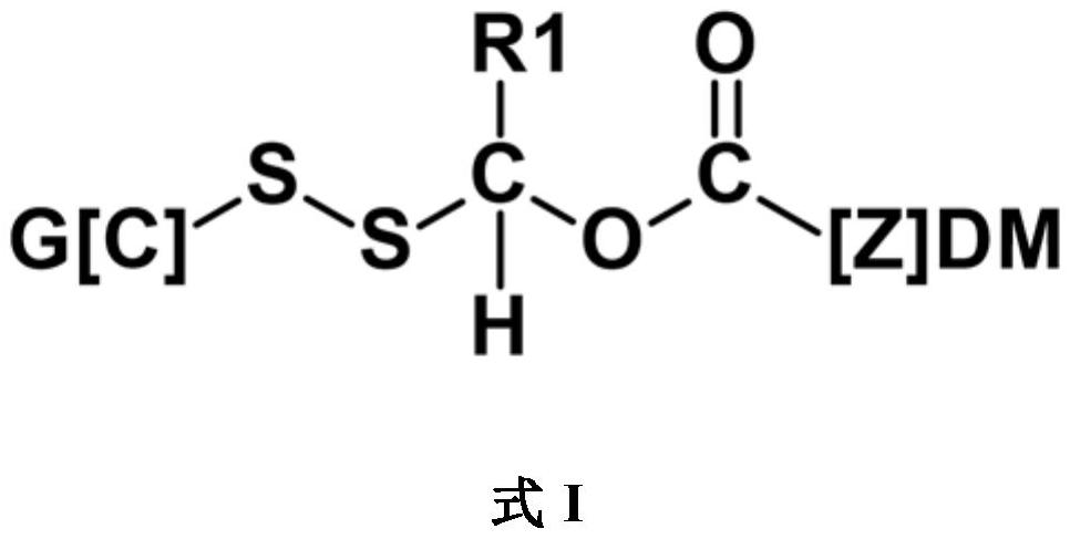 具有1-(二硫烷基)烷氧基-羰基单元的前药的制作方法