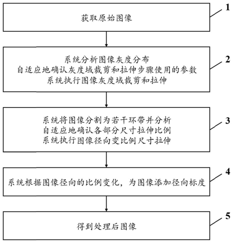 内窥层析图像自适应细节增强与径向拉伸显示方法及系统