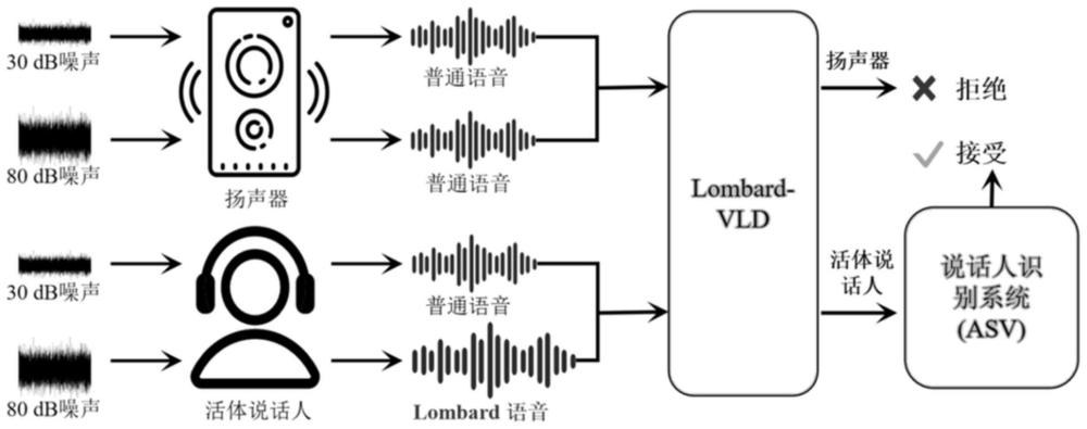 一种基于人类听觉反馈机制的声音活体检测方法及系统