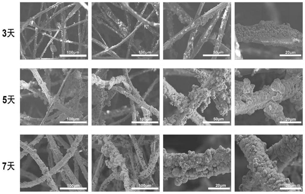 一种生物矿化脱丝胶丝素纤维及其制备方法和应用与流程