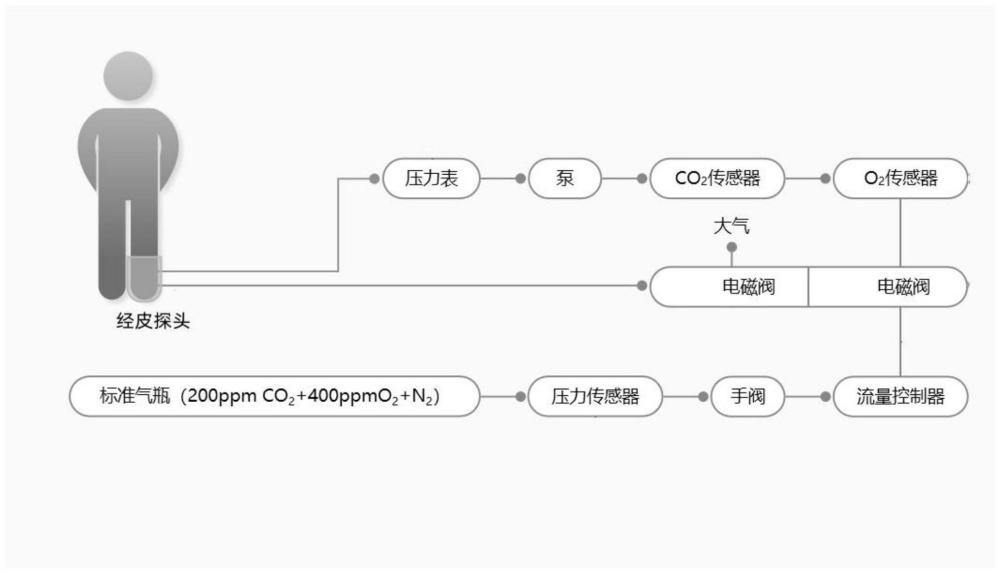 一种面监测的经皮氧或二氧化碳探头的制作方法