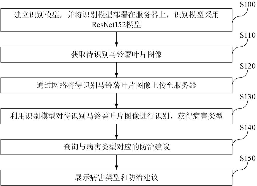 一种马铃薯叶片病害识别方法及系统