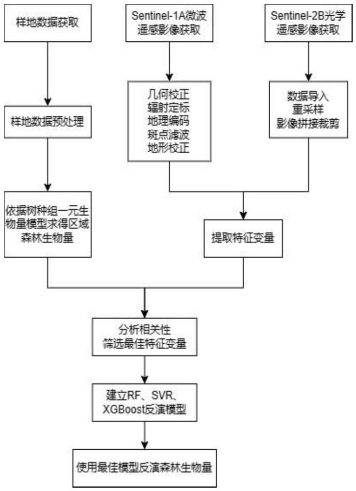 一种森林生物量的反演方法、系统、设备和存储介质