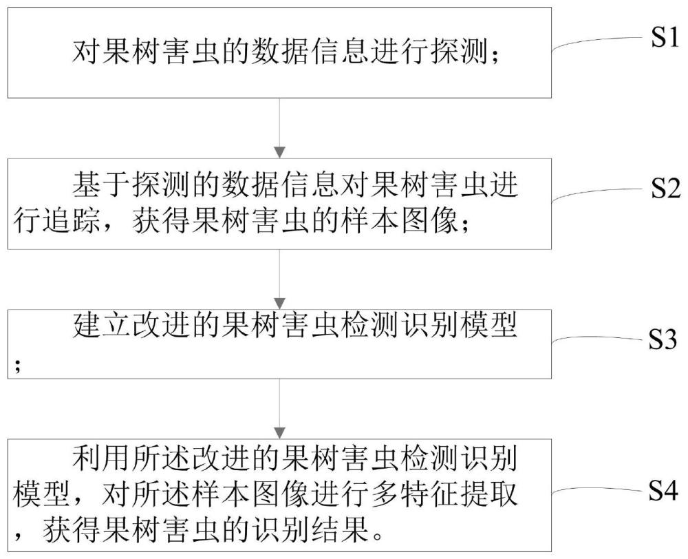 一种基于图像识别的果树害虫识别方法及系统