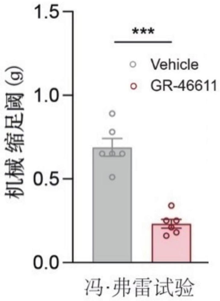 HTR1D作为靶点用于治疗疼痛-抑郁共病的药物中的应用