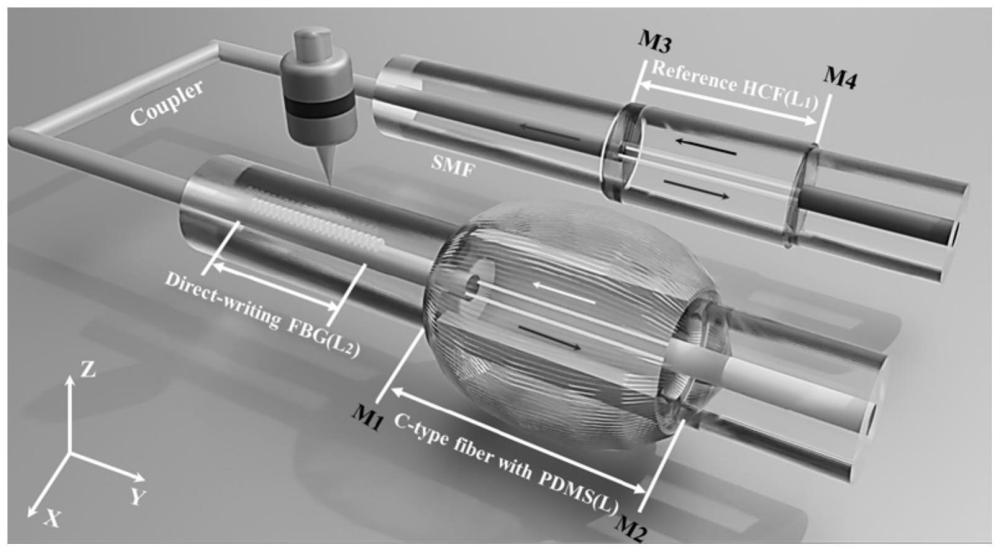 一种飞秒激光制造的C型光纤游标温度传感器及制作方法