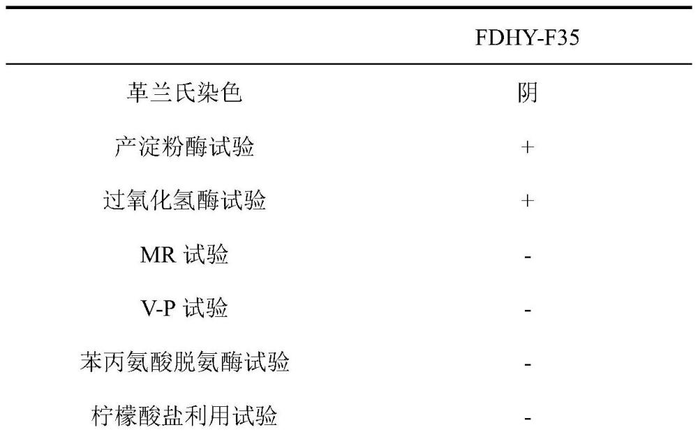 一株具有高效溶藻能力的溶藻弧菌及其对剧毒卡尔藻赤潮的应用