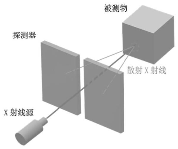 彭心晨