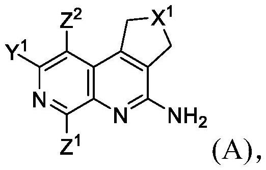 用于合成萘啶衍生物及其中间体的方法与流程