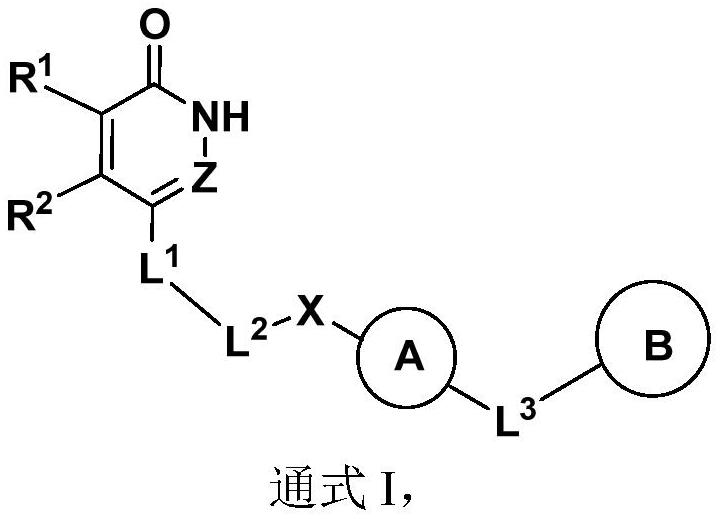 哒嗪酮或吡啶酮化合物、其制备方法和用途与流程