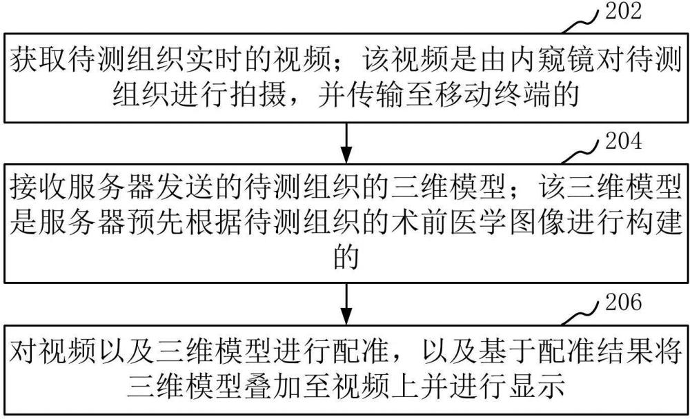 图像显示方法、装置、系统、移动终端和存储介质与流程