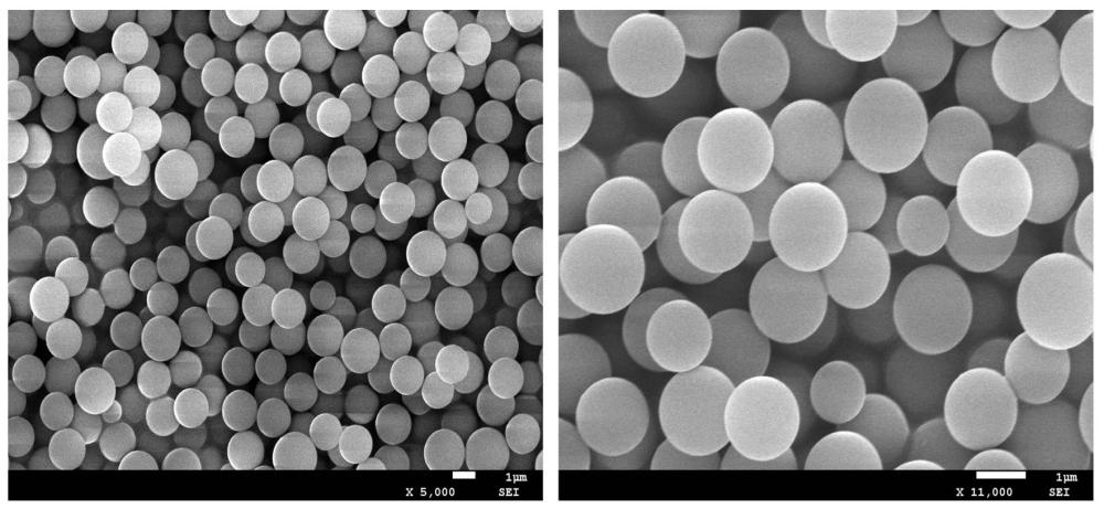 一种低含水性聚甲基硅倍半氧烷微球的制备方法与流程
