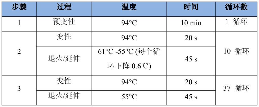 一种与绵羊体高相关的SNP分子标记及其应用