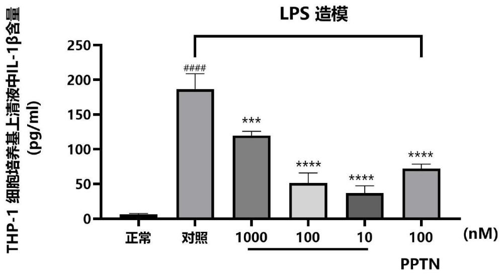 丙氨酸衍生物、其制备方法及医药用途