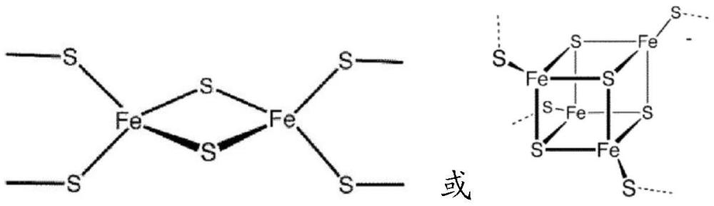 生产维生素B化合物的微生物细胞工厂的制作方法