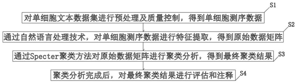 一种基于自然语言处理的单细胞数据分析方法