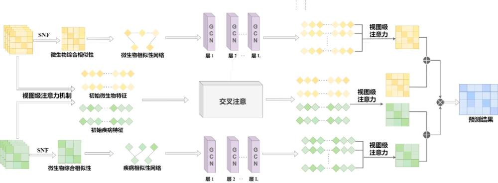 基于多视图多模态和交叉注意网络的微生物-疾病关联预测方法