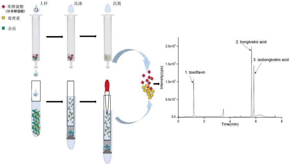 一种同时测定食品中米酵菌酸、异米酵菌酸和毒黄素的方法与流程