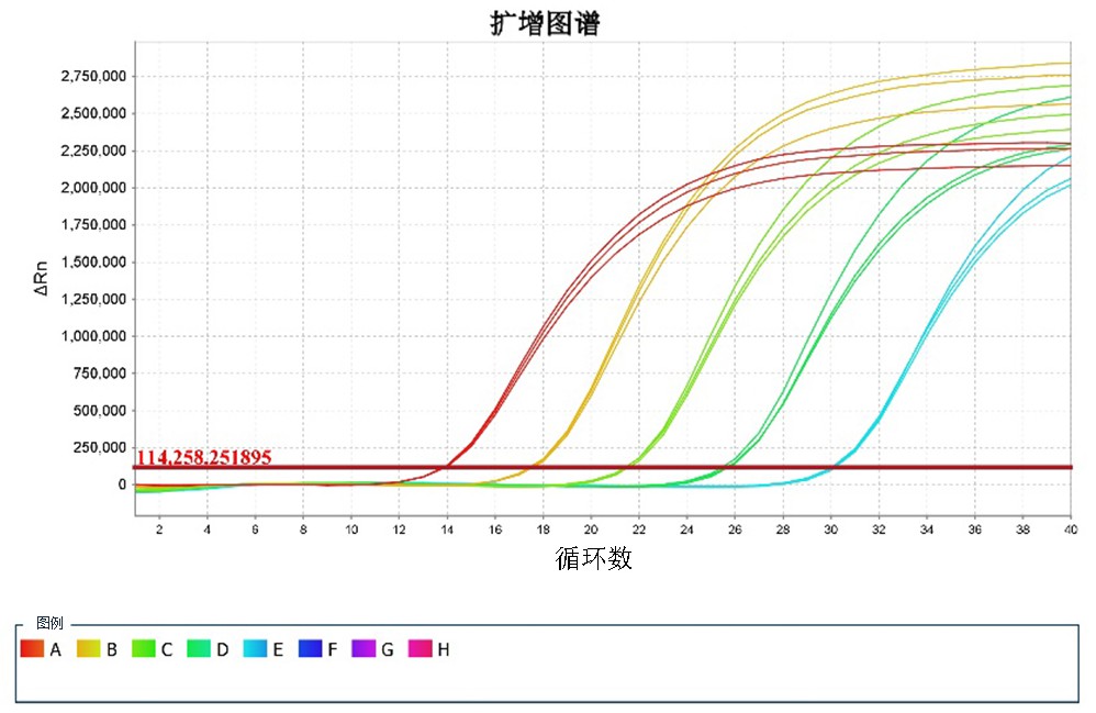 鉴别滇重楼遗传纯合个体的方法、引物、探针及应用