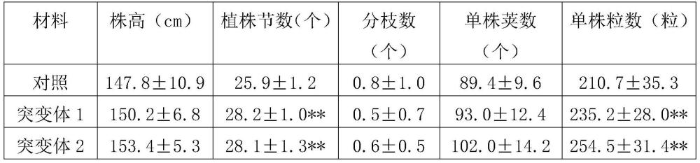 GmTPS1蛋白及其编码基因在改良大豆株型性状和产量中的应用