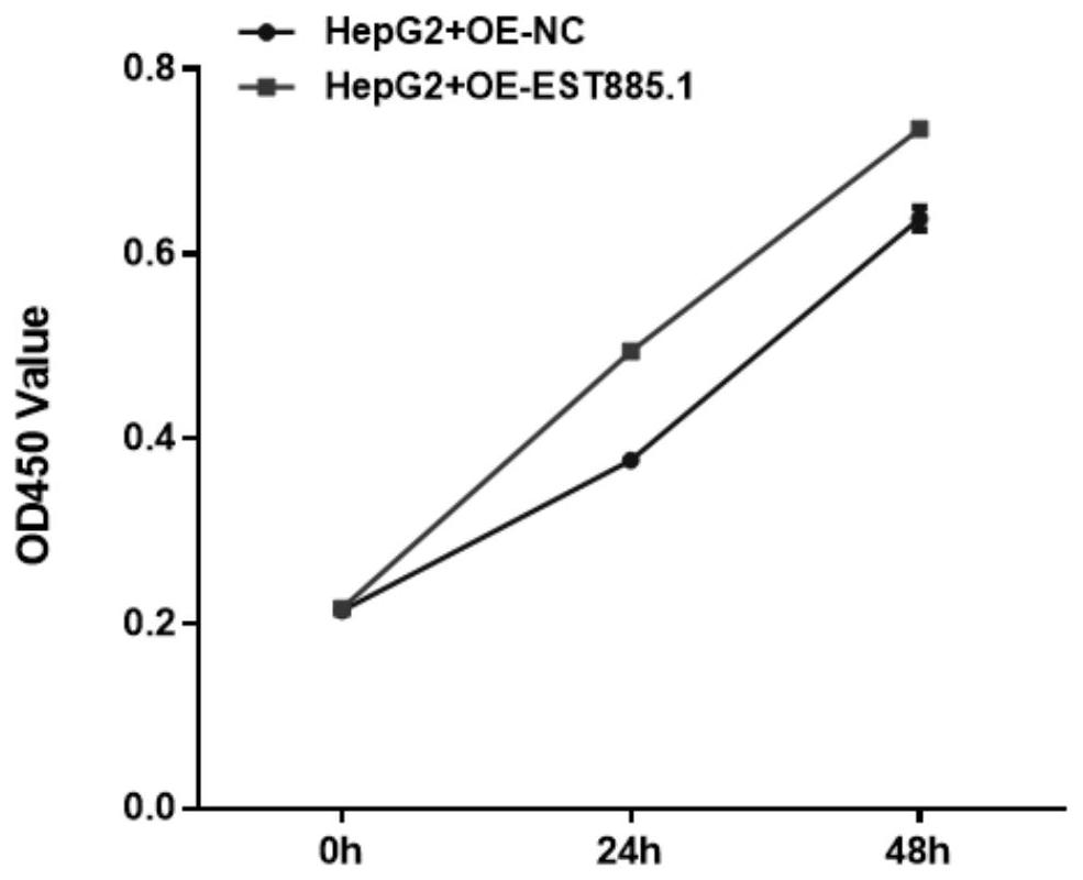 EST885.1作为肝癌临床预后长链非编码RNA标记分子的制作方法
