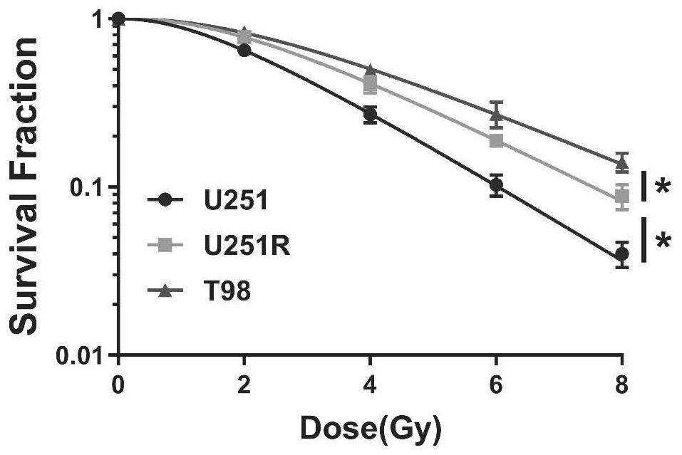 CD81基因在作为胶质母细胞瘤分子标志物中的应用