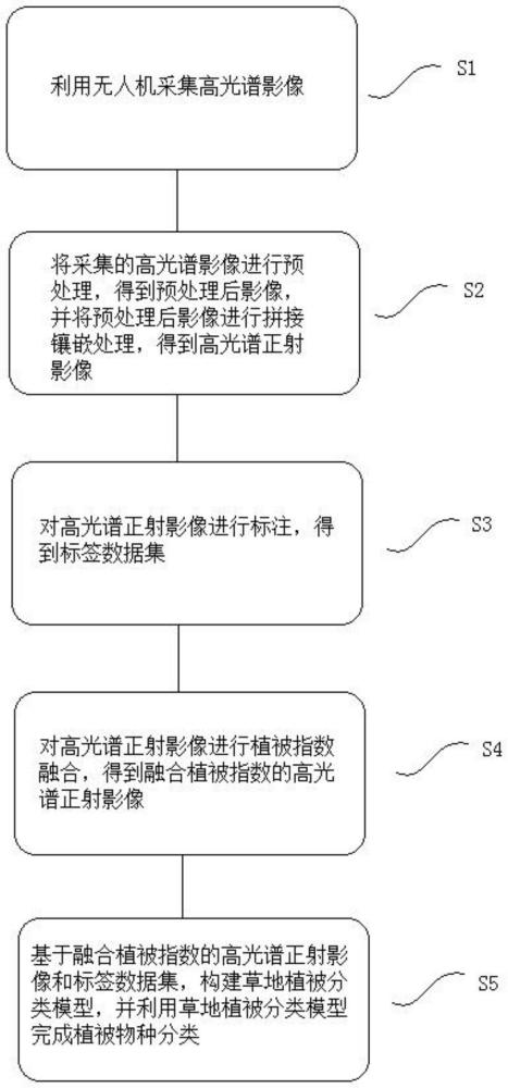 基于深度学习的无人机高光谱植被物种分类方法及系统