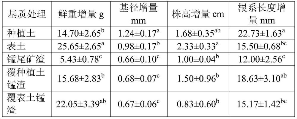 一种锰尾矿库种植降香的方法