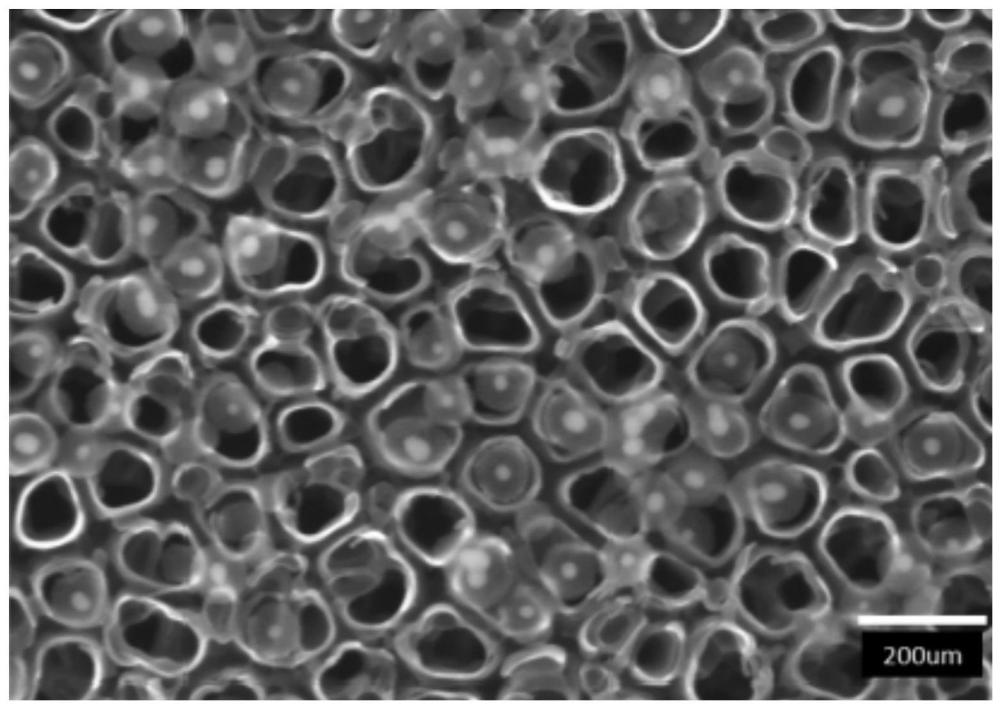 一种负载纳米金修饰介孔二氧化硅复合粒子的微纳钛基牙种植体及其制备方法