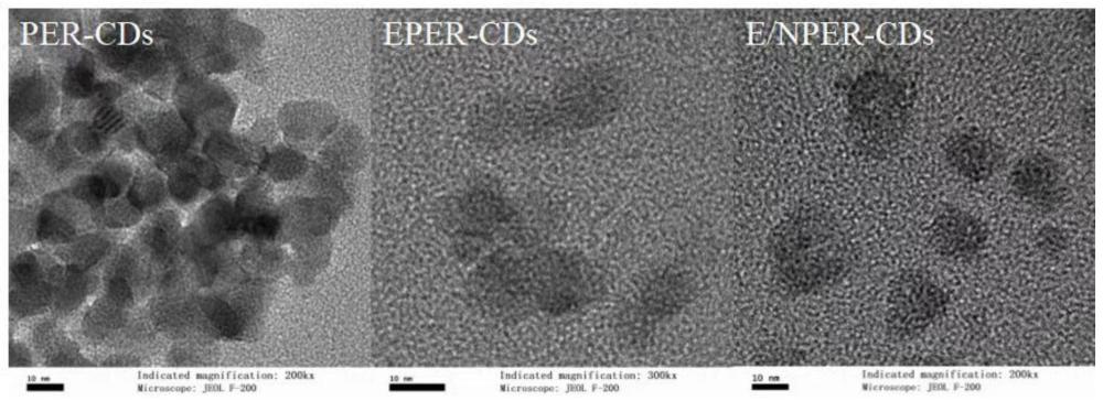 一种量子点E/NPER-CDs、其制备方法及在食品保鲜中的应用