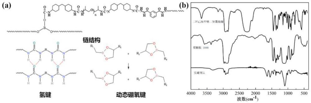 一种氢键锁定含硼超分子聚脲弹性体的制备方法