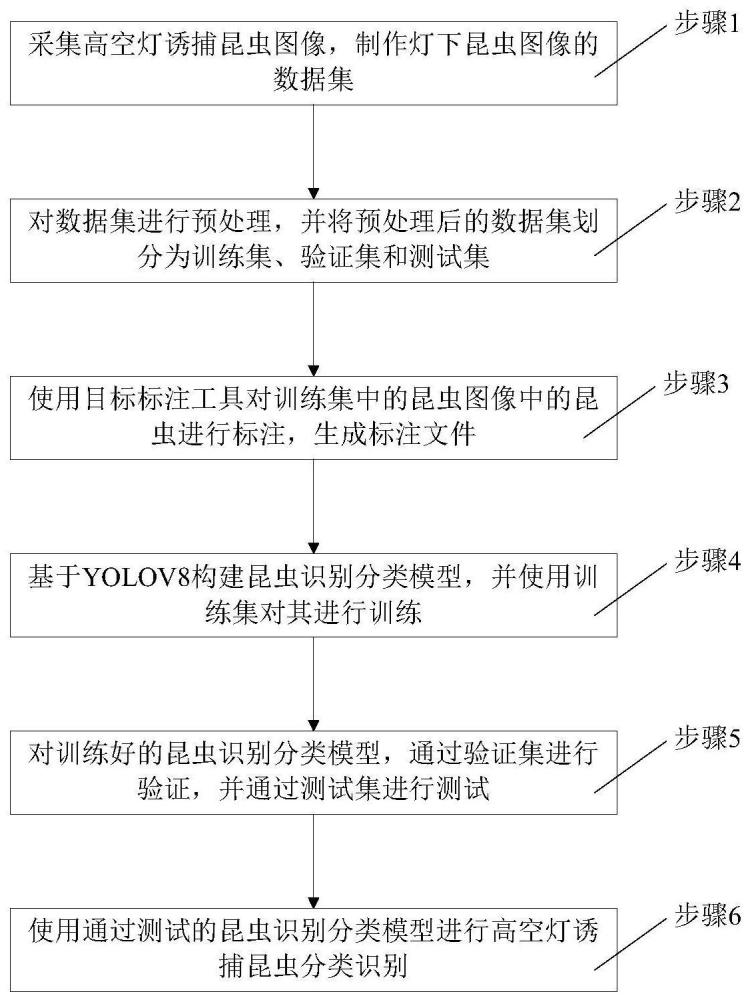 基于卷积神经网络的空中诱捕昆虫识别方法及系统