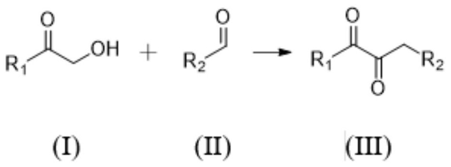 一种共轭二酮类化合物的合成方法与流程