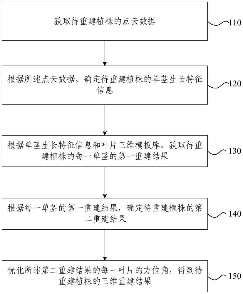 多分蘖作物植株三维重建方法、装置、设备及介质