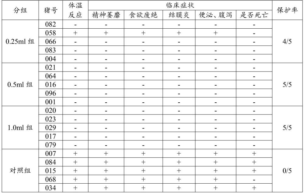 一种利用豚鼠进行猪瘟E2蛋白亚单位疫苗成品效力检验的方法与流程