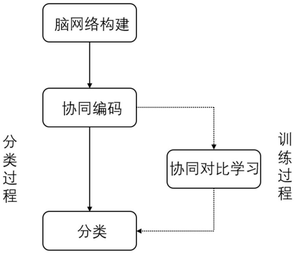 一种双协同学习的脑网络特征分类系统及其训练方法