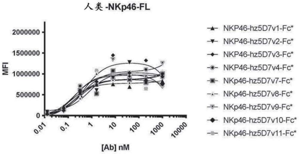 NKp46结合多肽及其用途的制作方法